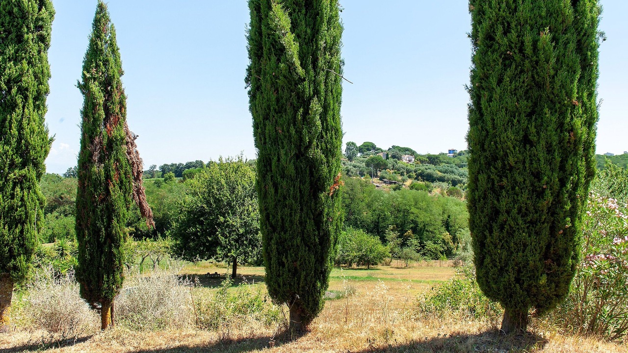 Photo of Outdoor in Crespina