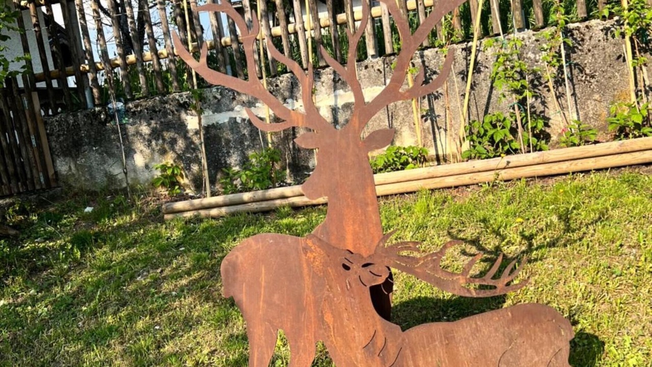Photo of Outdoor in Roana