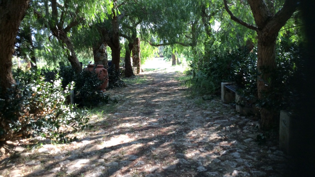 Photo of Outdoor in Partinico