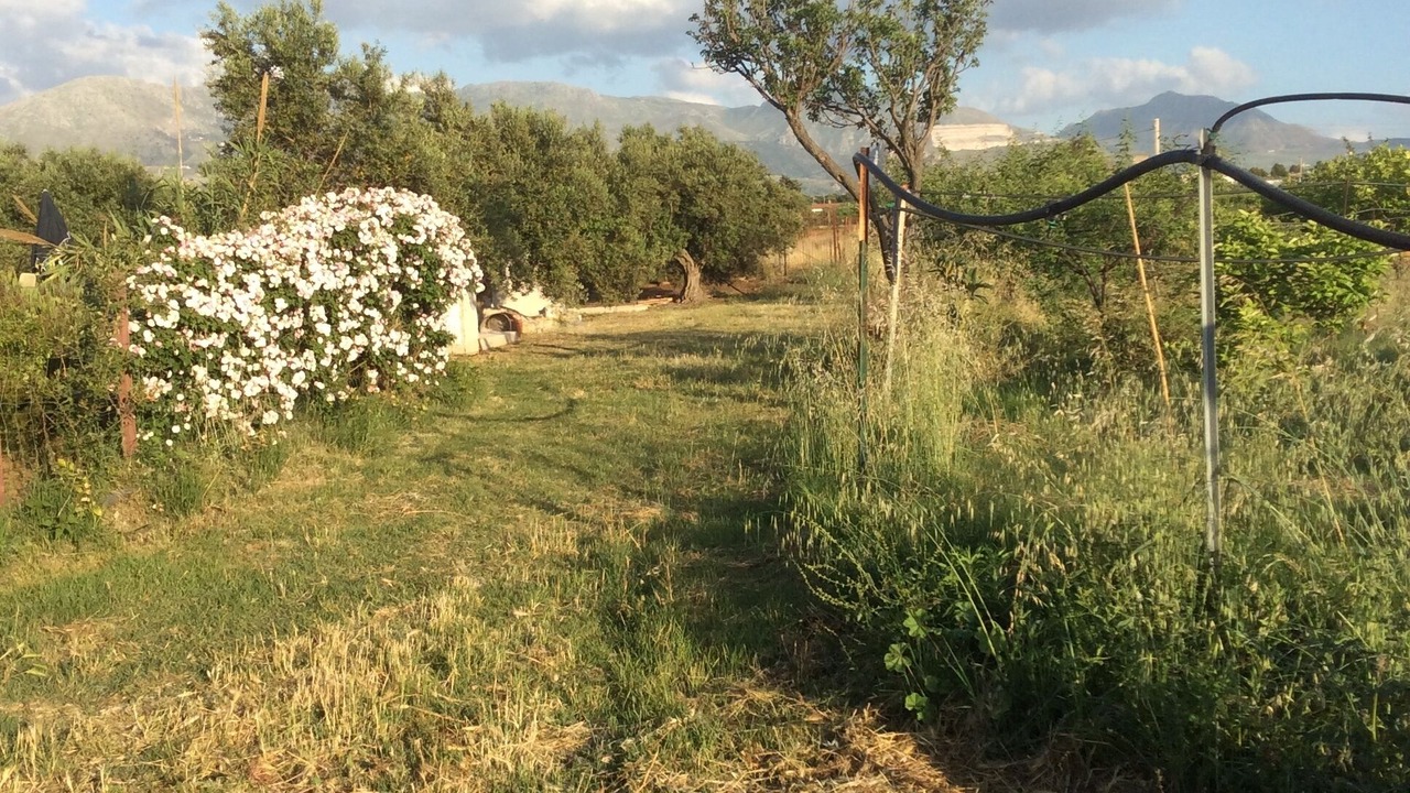 Photo of Outdoor in Partinico