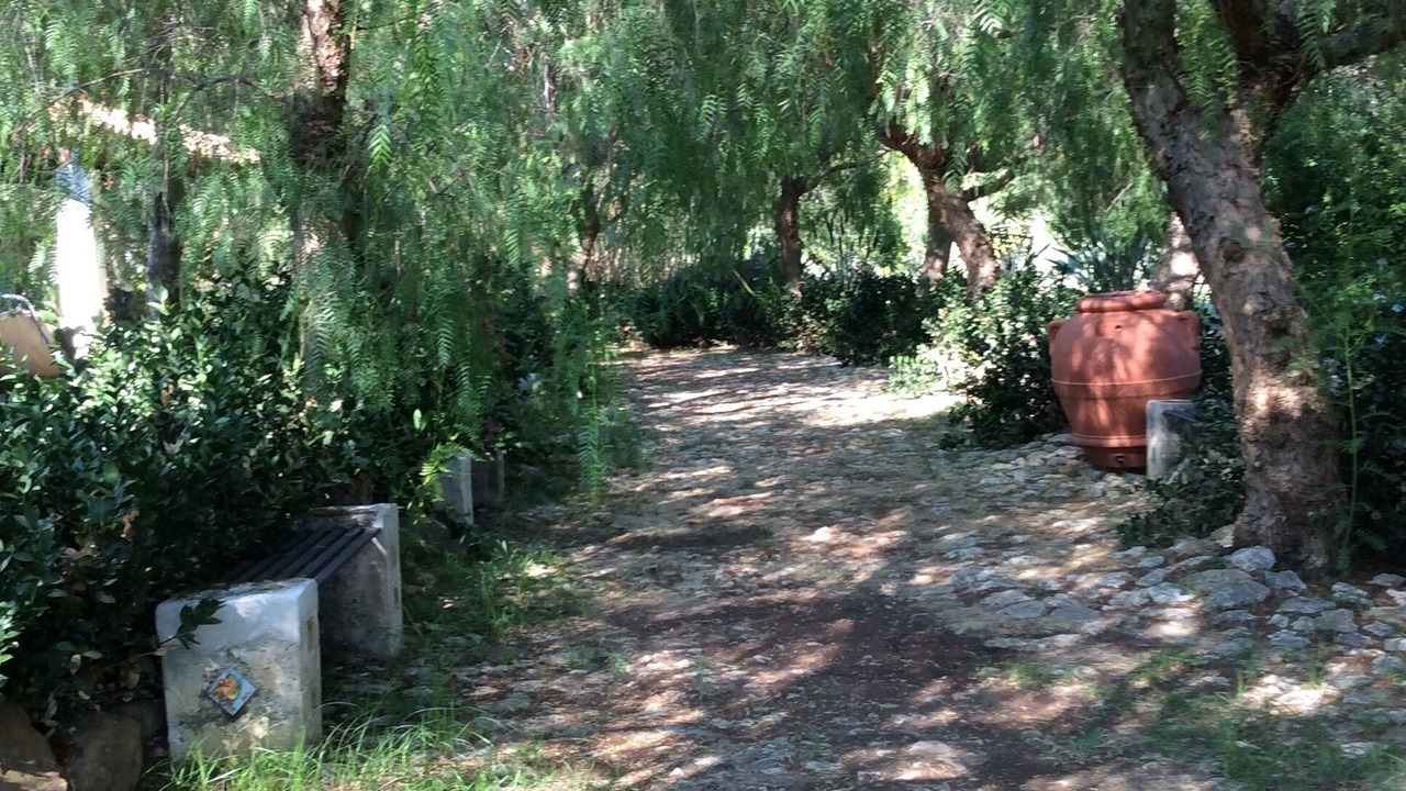 Photo of Outdoor in Partinico