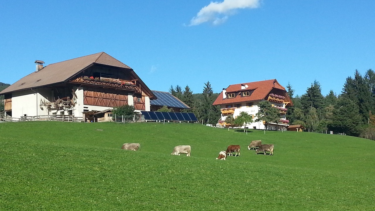 Photo of Outdoor in Collalbo