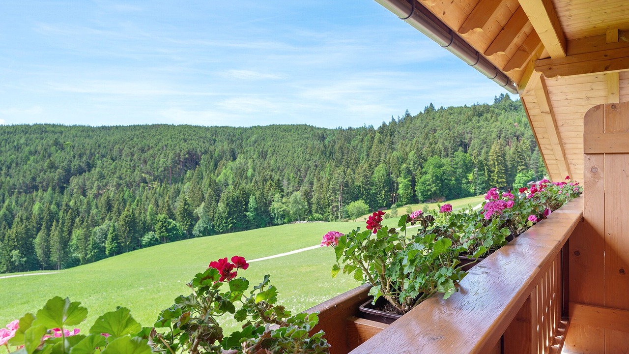Photo of Outdoor in Collalbo