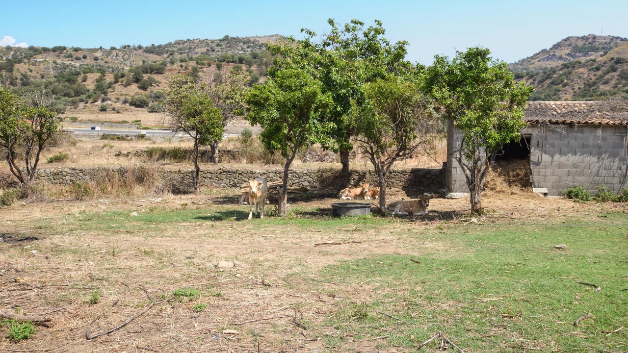 Photo of Others in Gaggi
