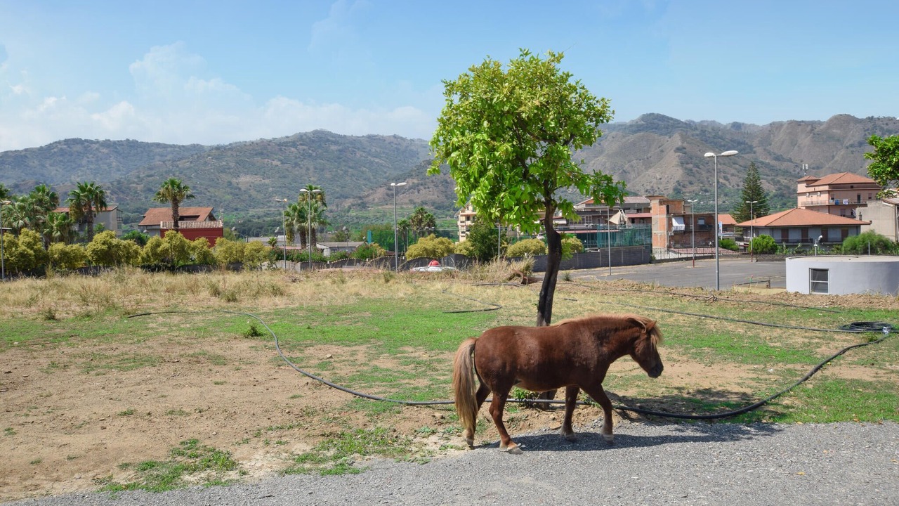 Photo of Others in Gaggi