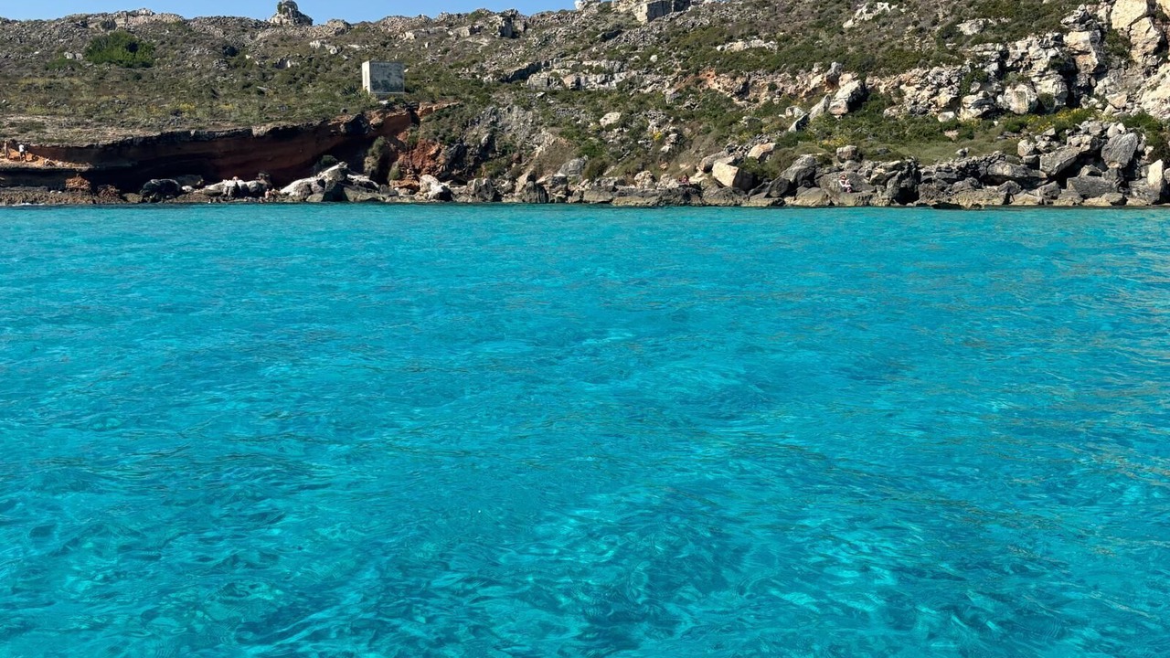 Photo of Others in Favignana