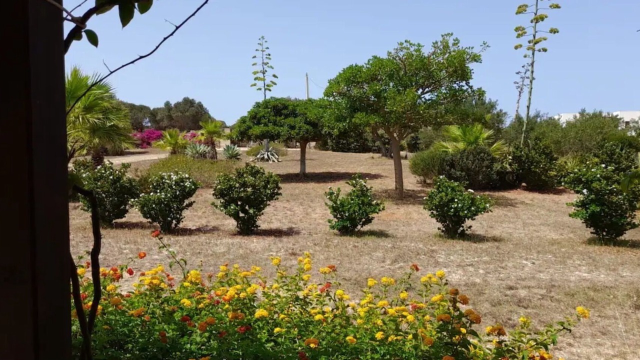 Photo of Outdoor in Favignana