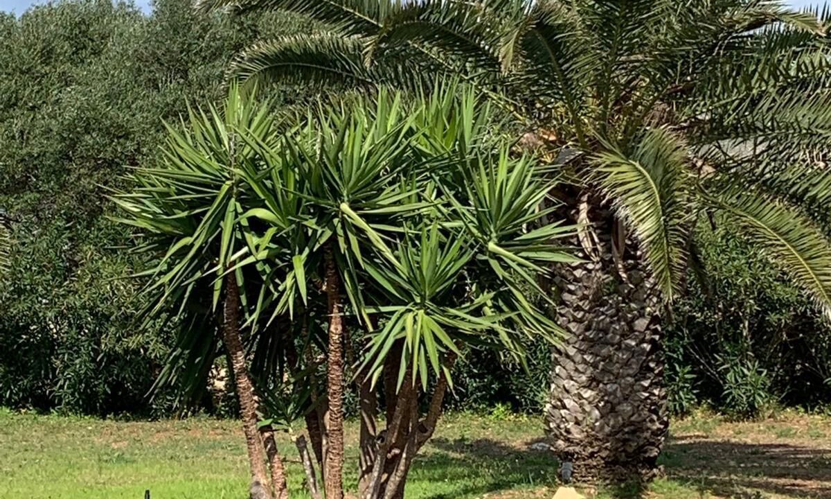 Photo of Outdoor in Favignana