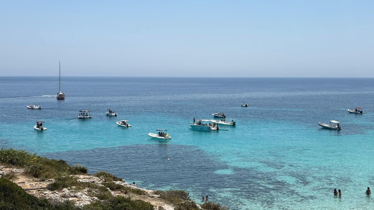 Photo of Others in Favignana