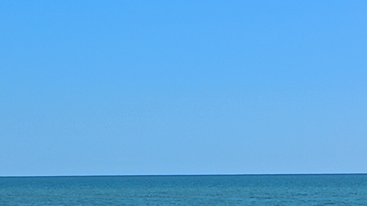 Photo of Others in Ardea