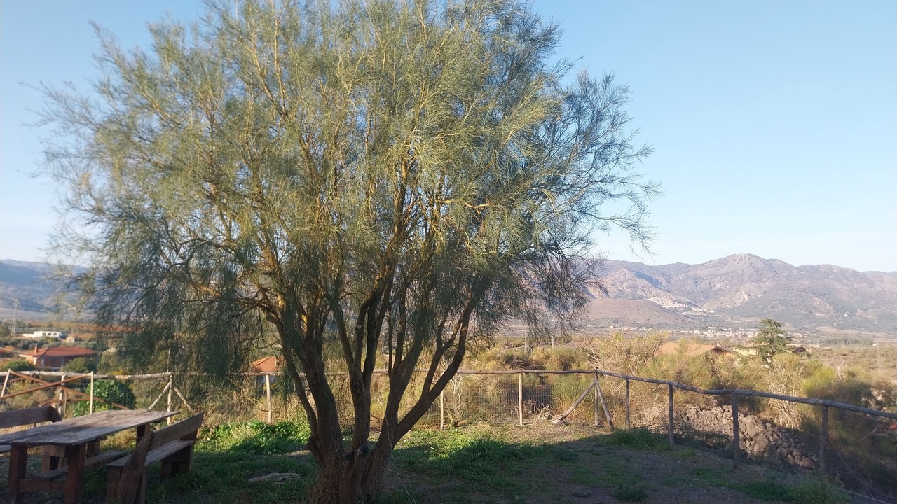 Photo of Outdoor in Passopisciaro