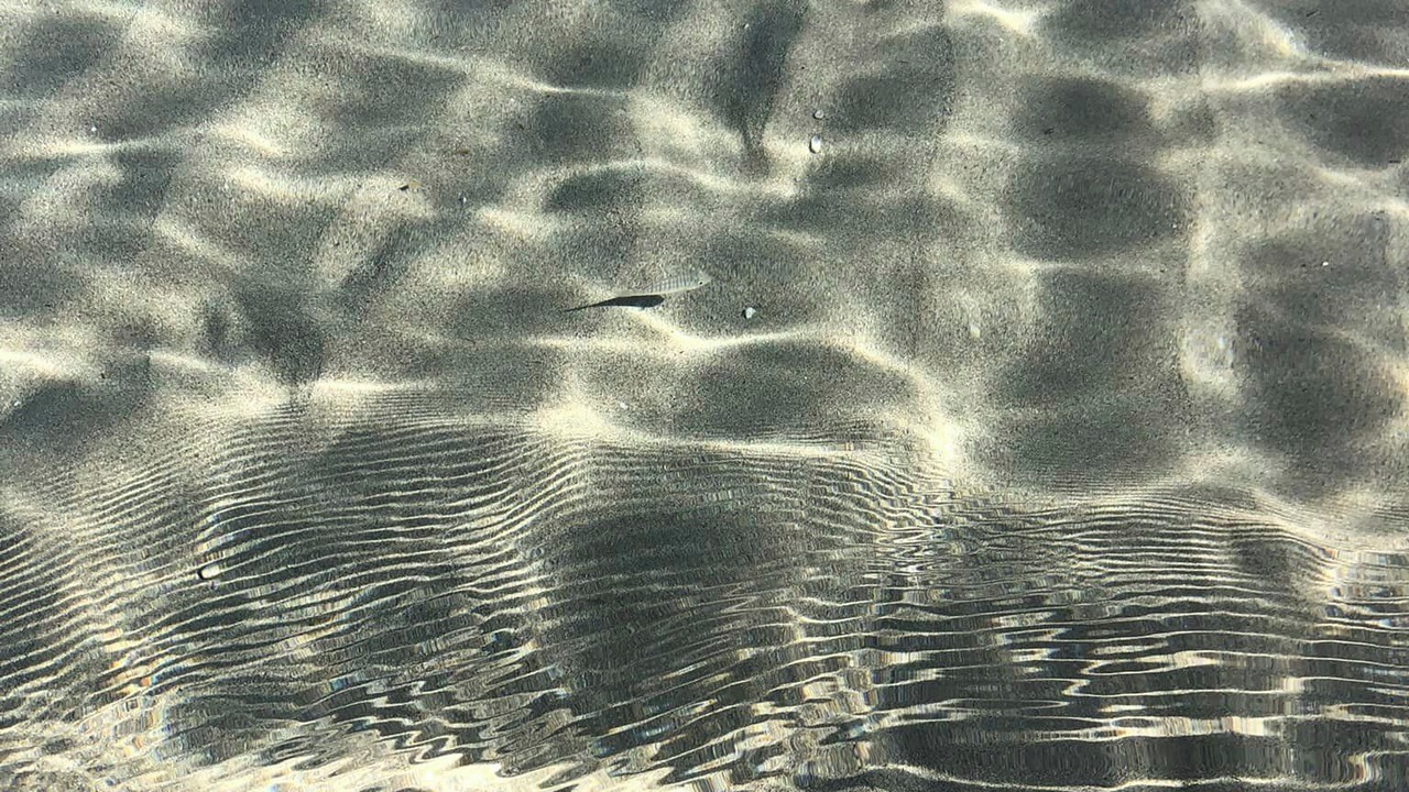Photo of Others in Isola delle Femmine