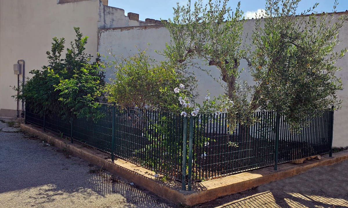 Photo of Outdoor in Trapani