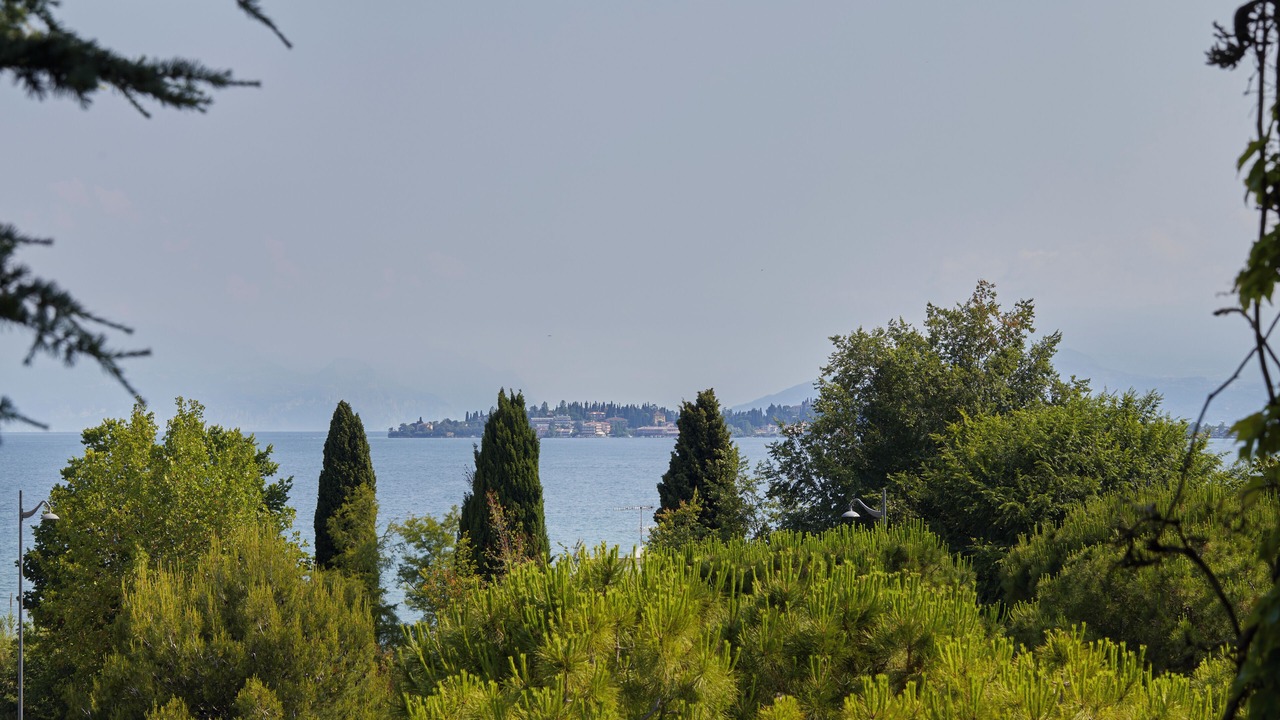 Photo of Others in San Martino della Battaglia