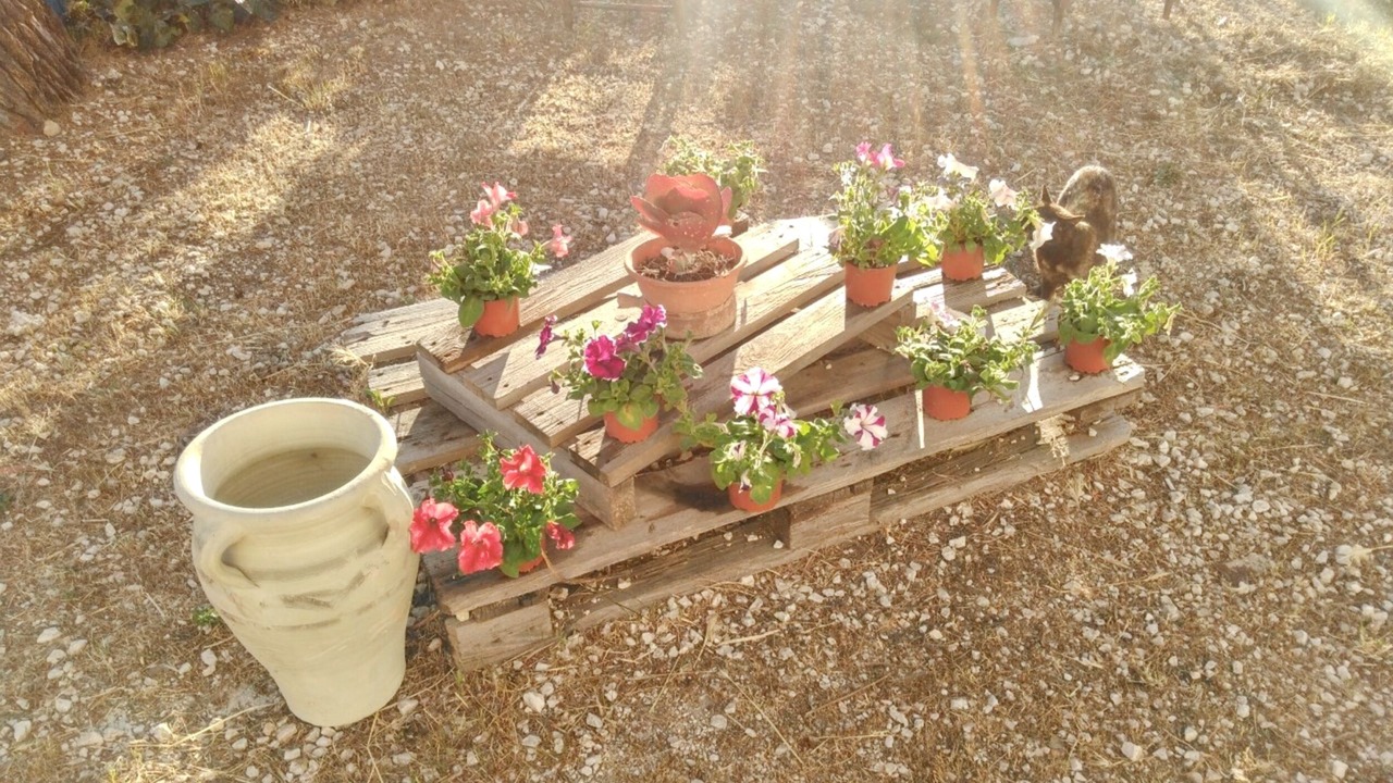 Photo of Outdoor in Sciacca