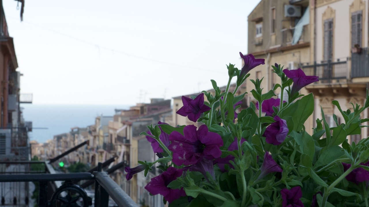 Photo of Patio Balcony in Castellammare del Golfo