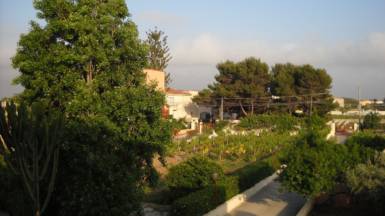Photo of Outdoor in Marsala