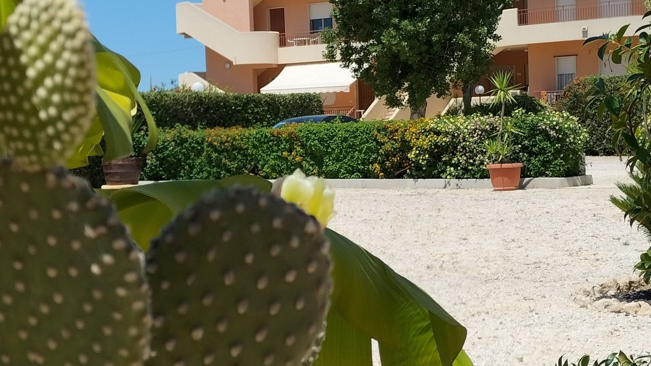 Photo of Outdoor in Marsala