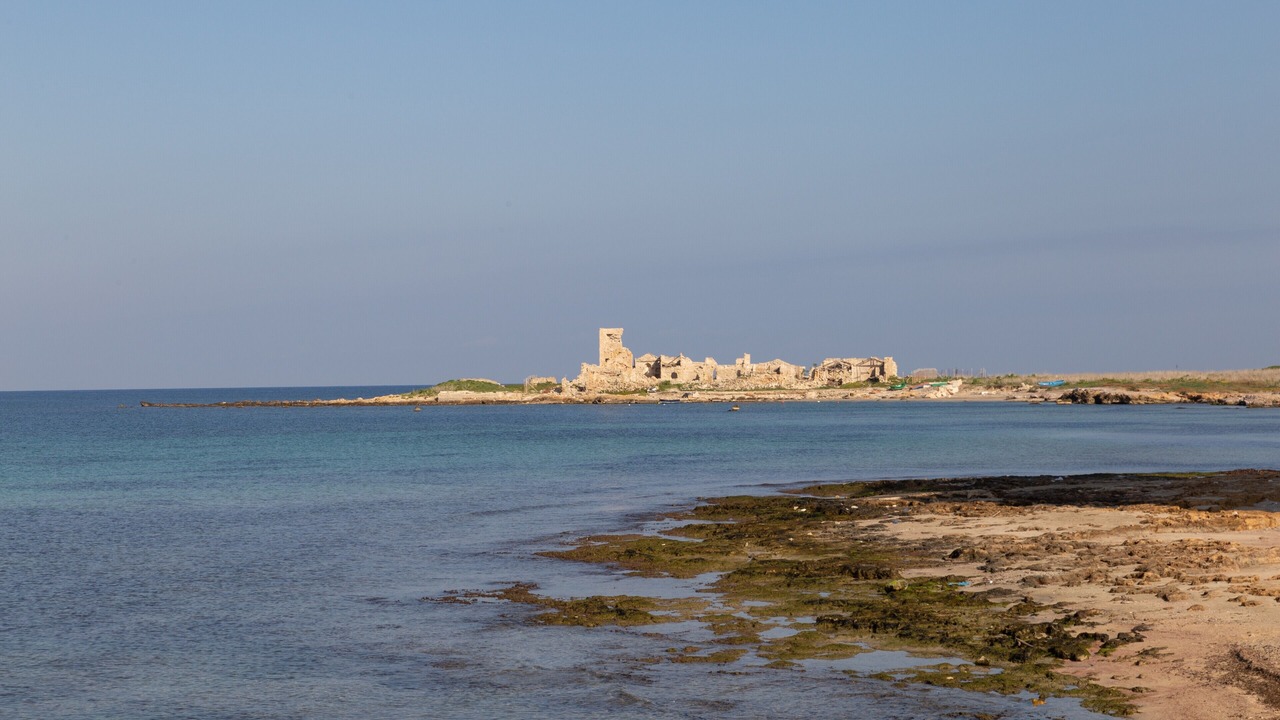 Photo of Others in Trapani