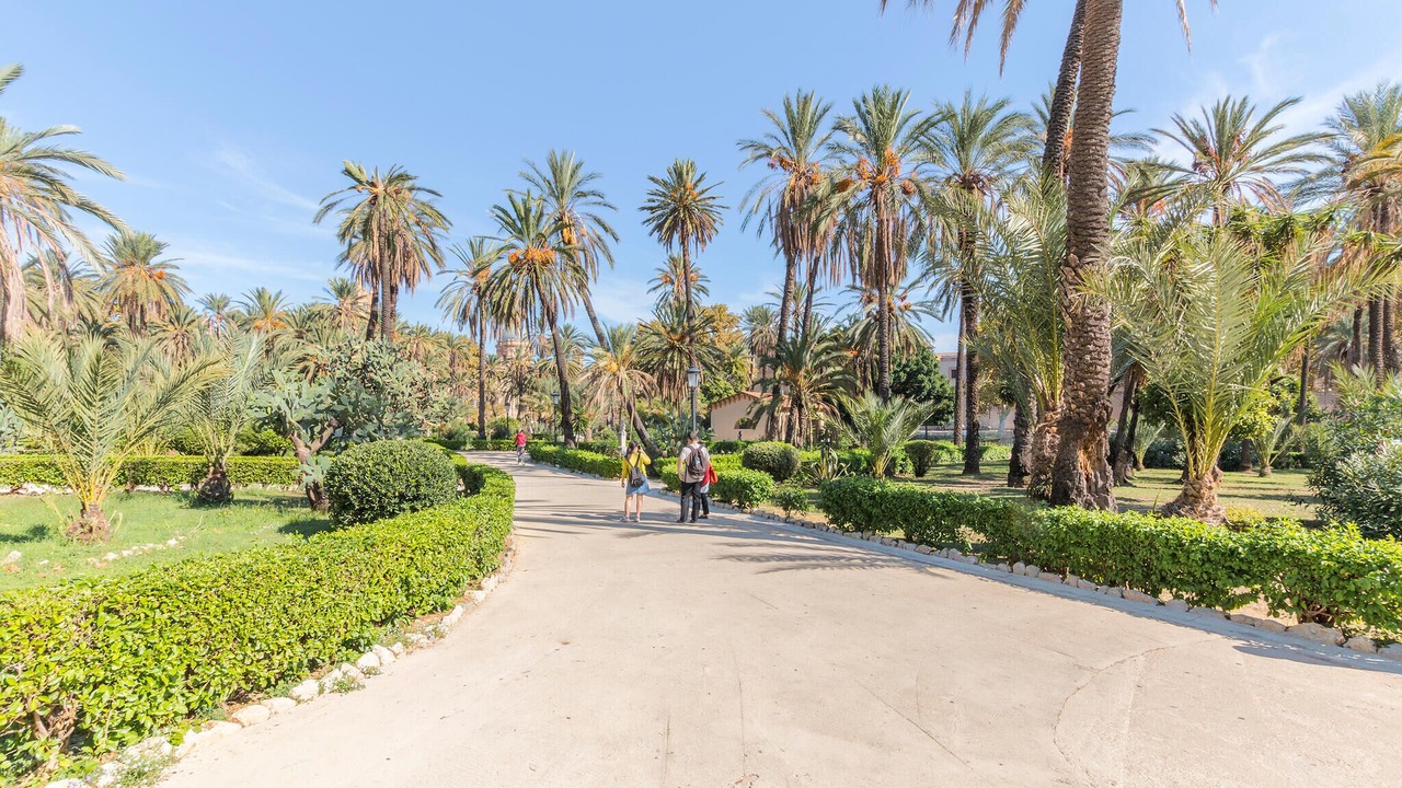 Photo of Others in Palermo
