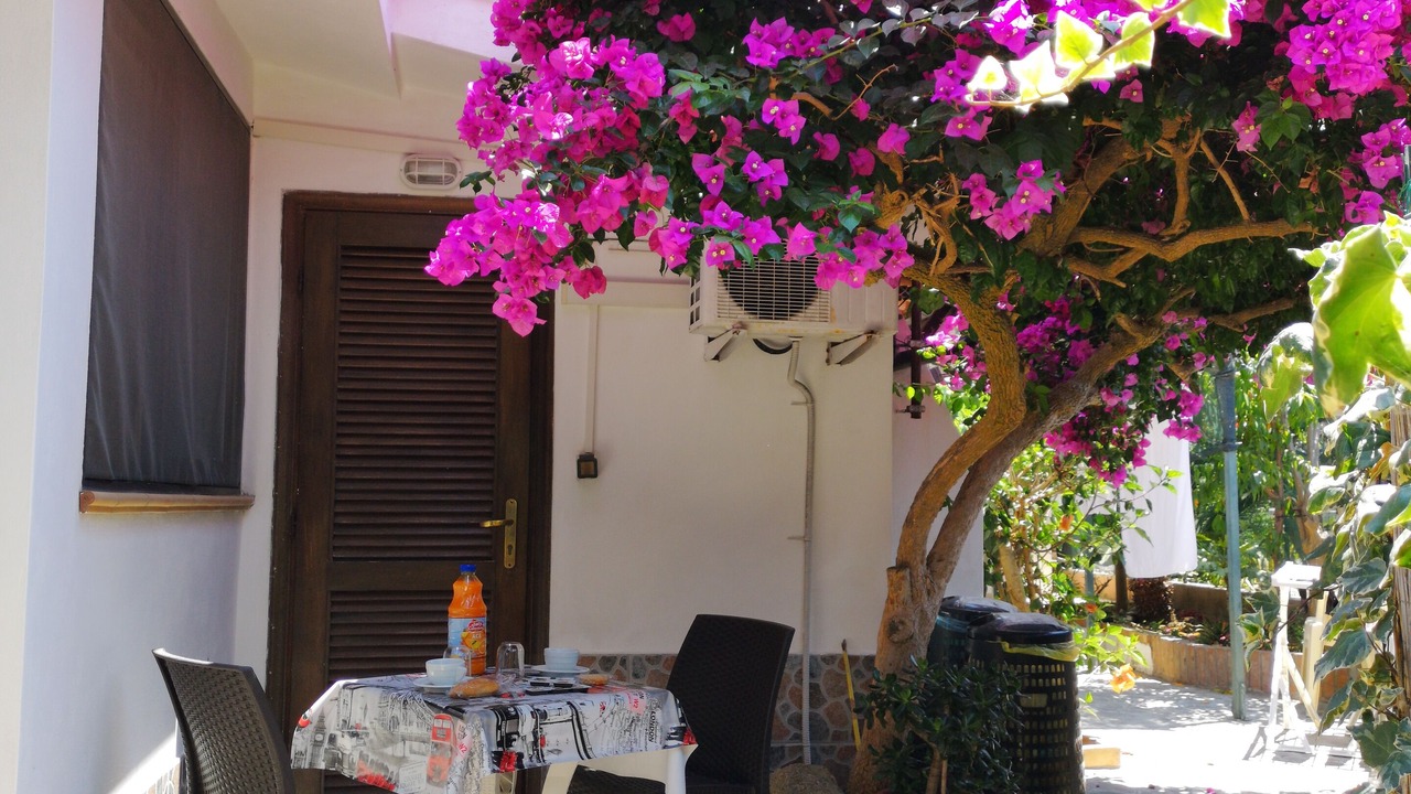 Photo of Outdoor in Santa Domenica