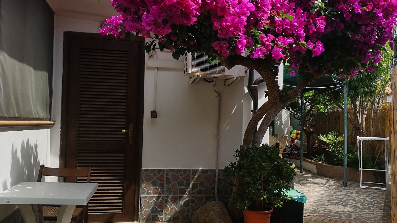 Photo of Outdoor in Santa Domenica