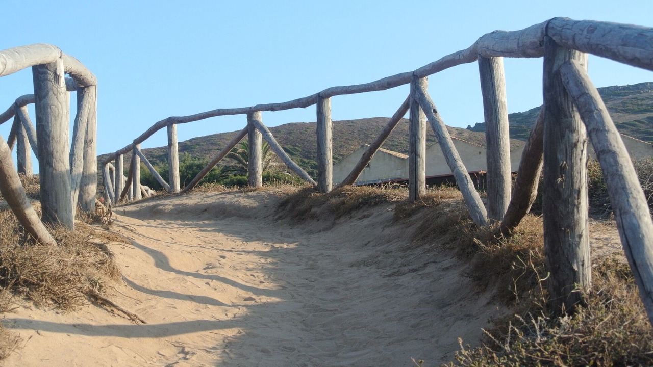 Photo of Others in Porto Paglia