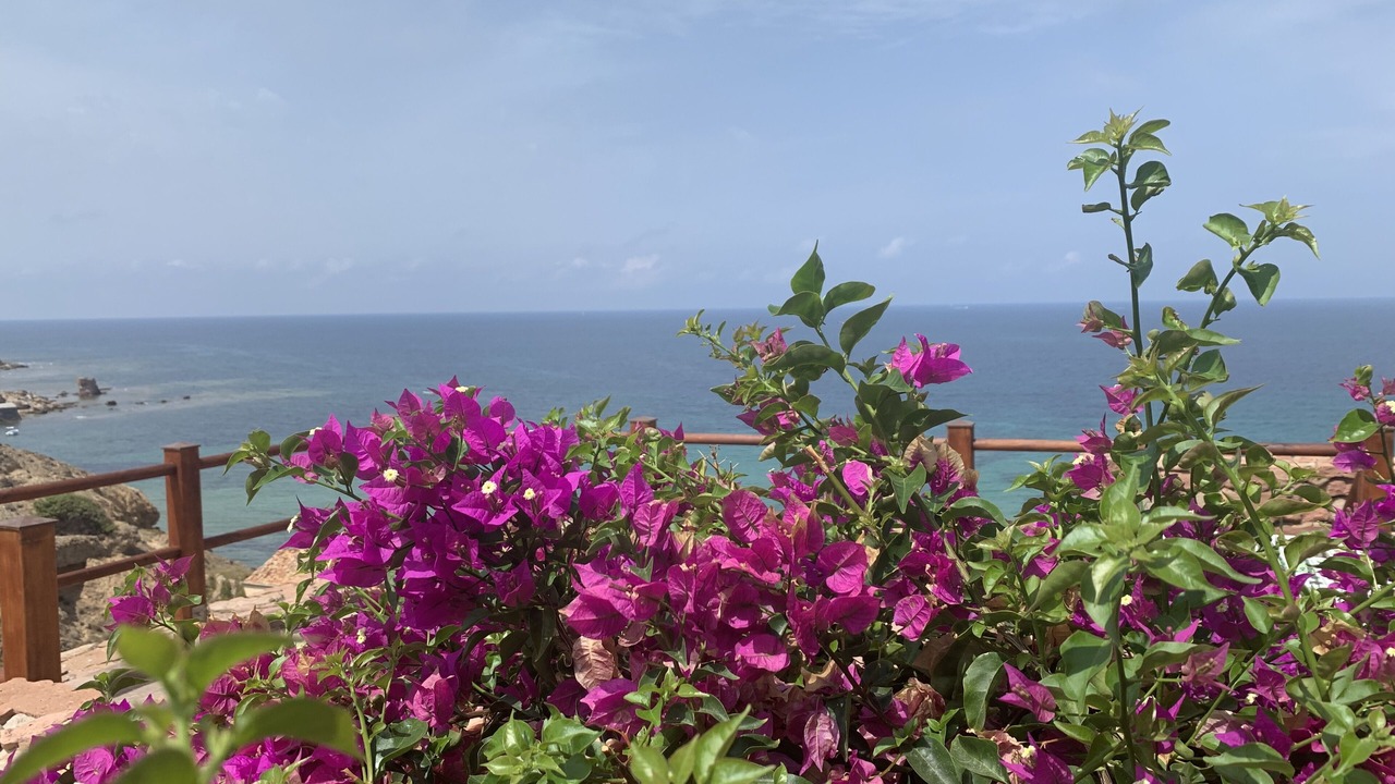 Photo of Outdoor in Porto Paglia