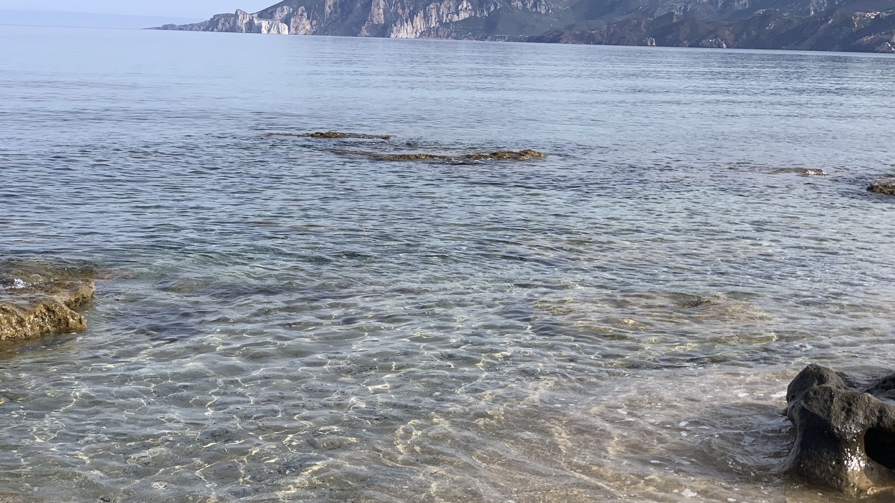 Photo of Others in Porto Paglia