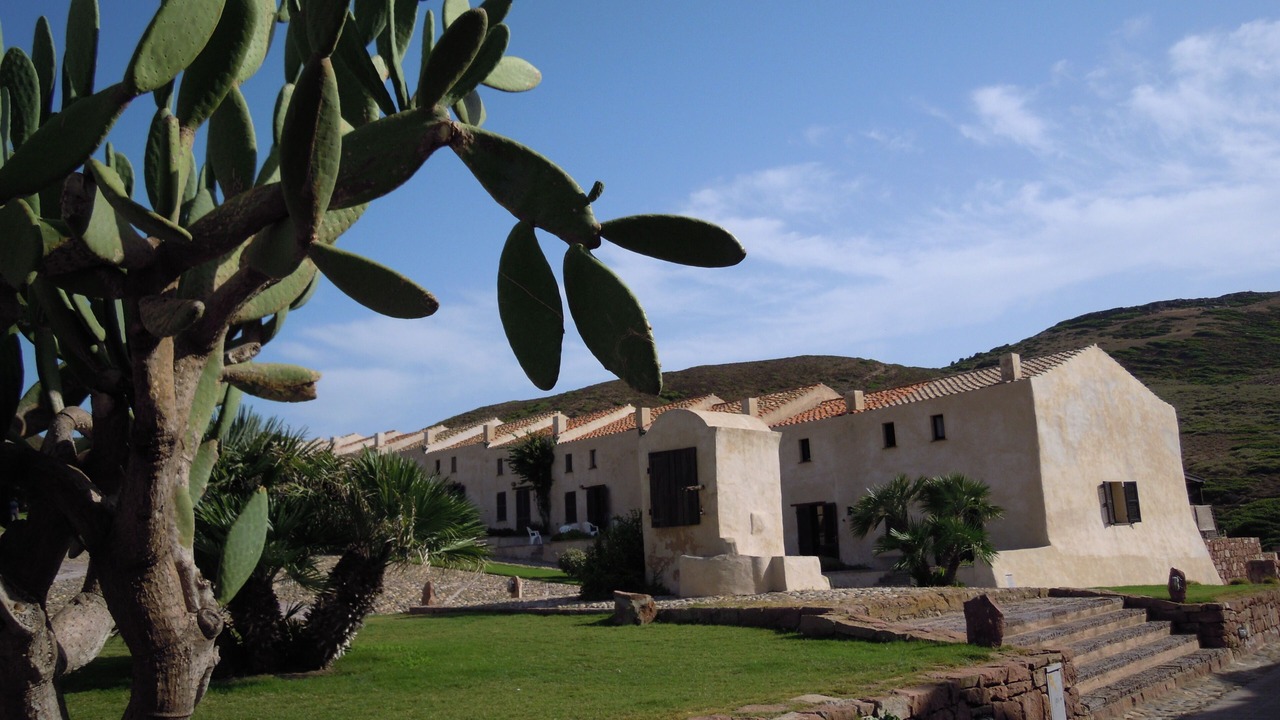 Photo of Outdoor in Porto Paglia