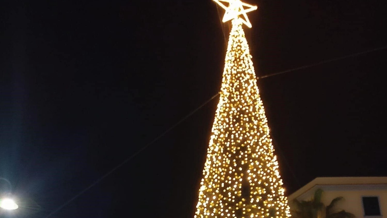 Photo of Others in Nettuno
