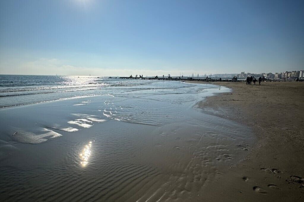 Photo of Others in Nettuno