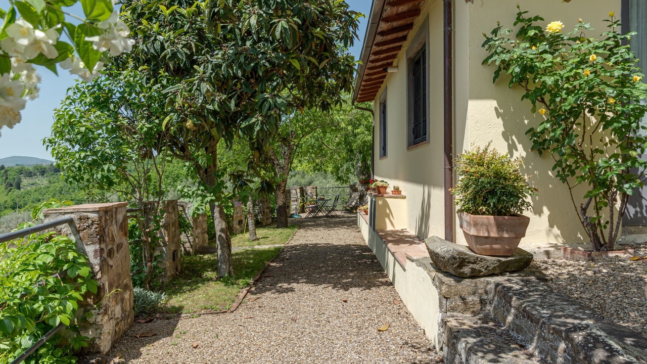 Photo of Outdoor in Pelago