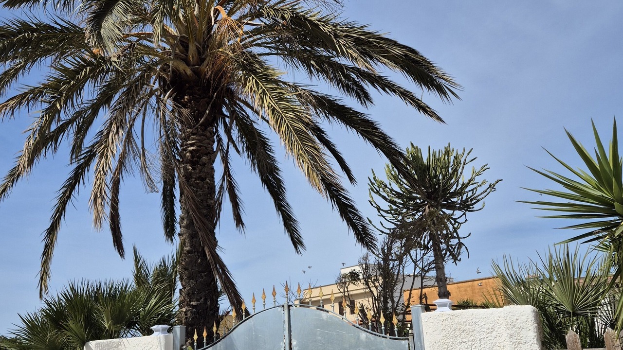Photo of Outdoor in Marsala