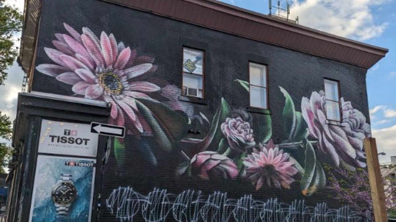 Photo of Outdoor in Plateau Mont Royal