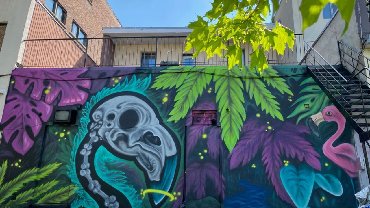 Photo of Outdoor in Plateau Mont Royal