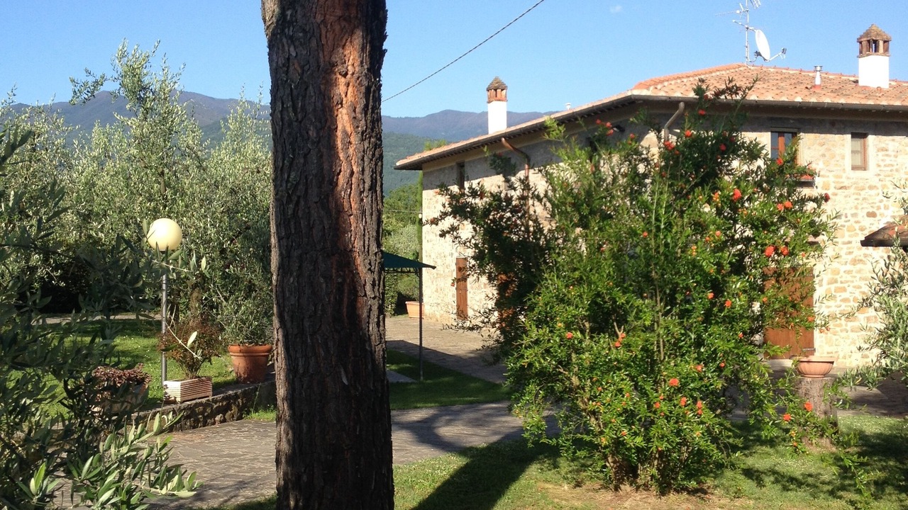 Photo of Outdoor in Reggello