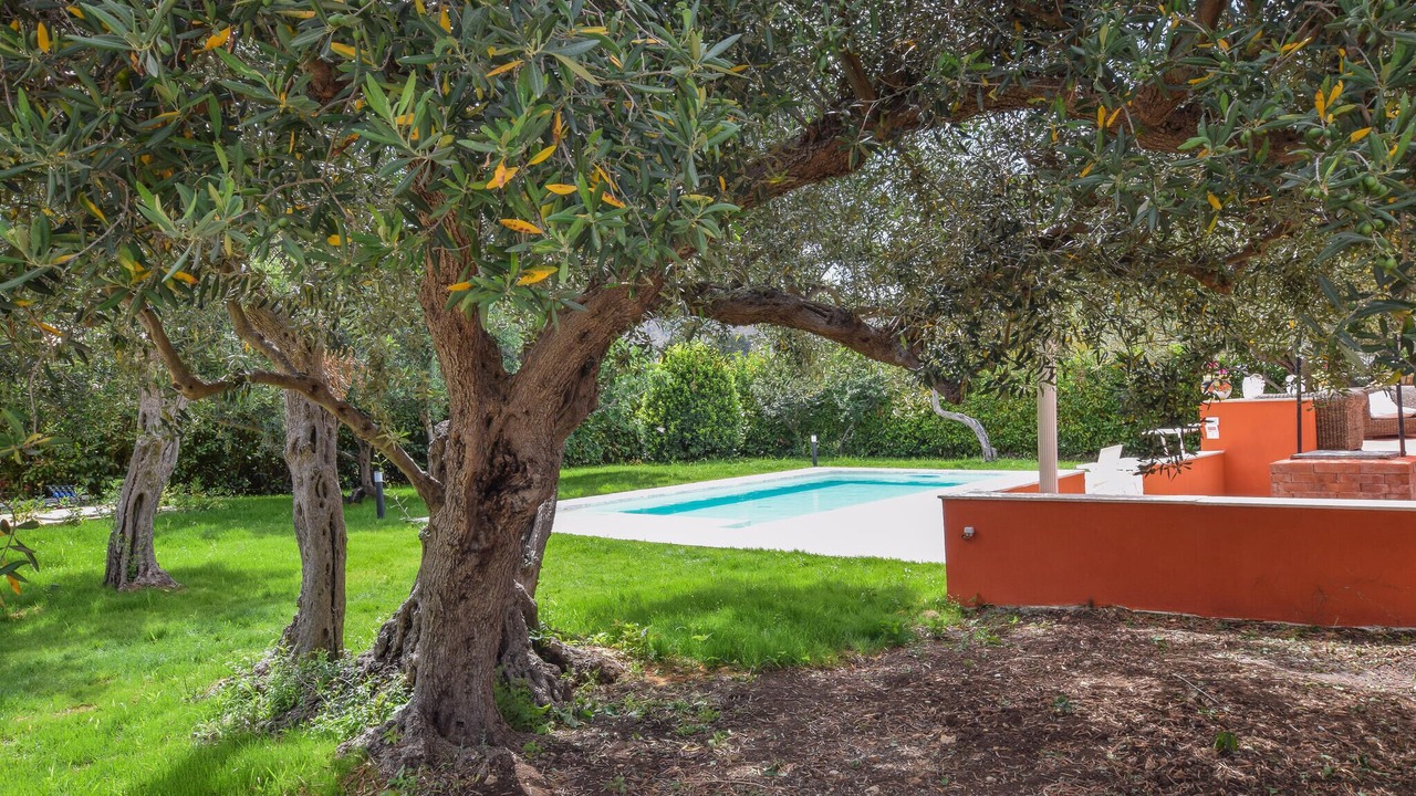 Photo of Outdoor in Castellammare del Golfo