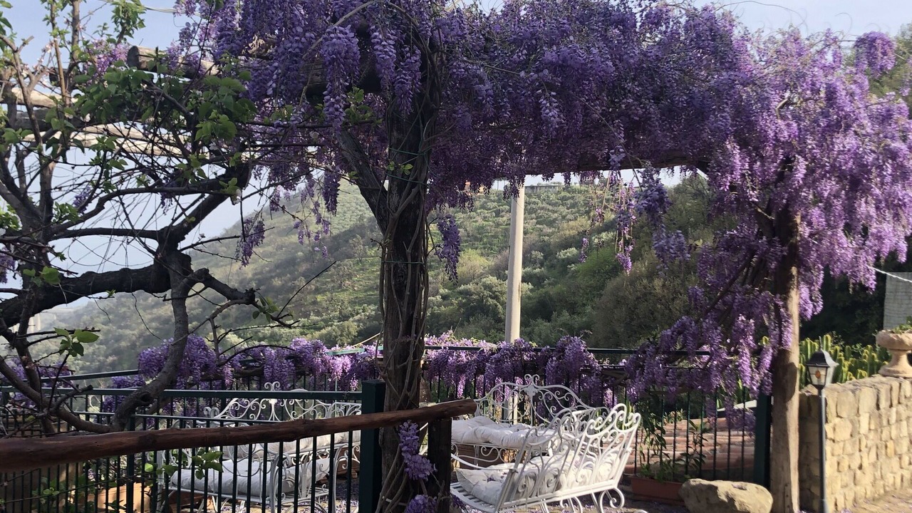 Photo of Outdoor in Ficarra