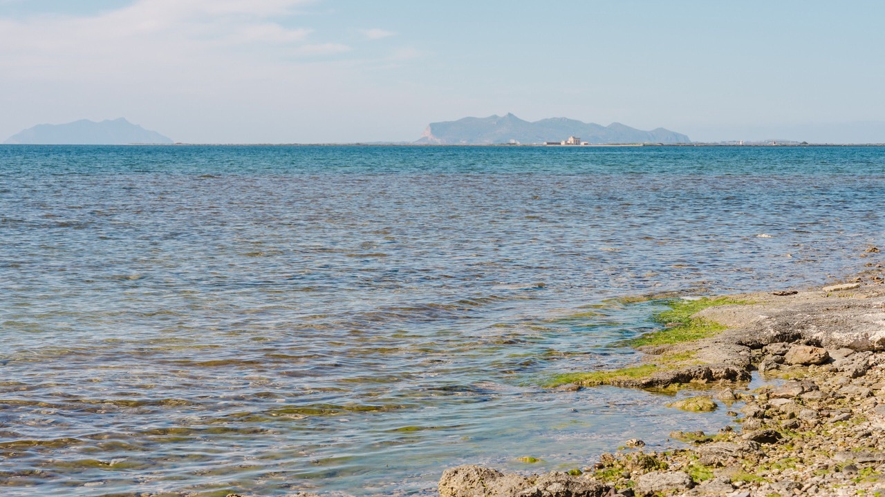 Photo of Others in Marsala