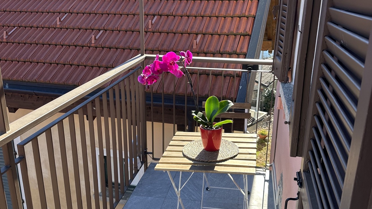 Photo of Outdoor in San Bartolomeo