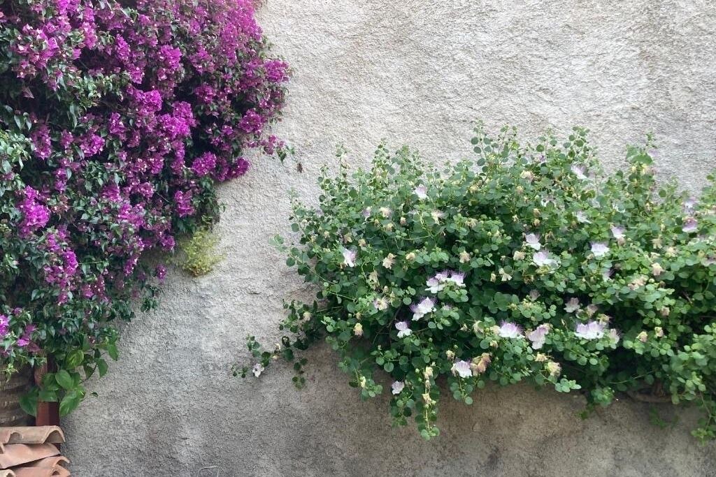 Photo of Outdoor in Milazzo