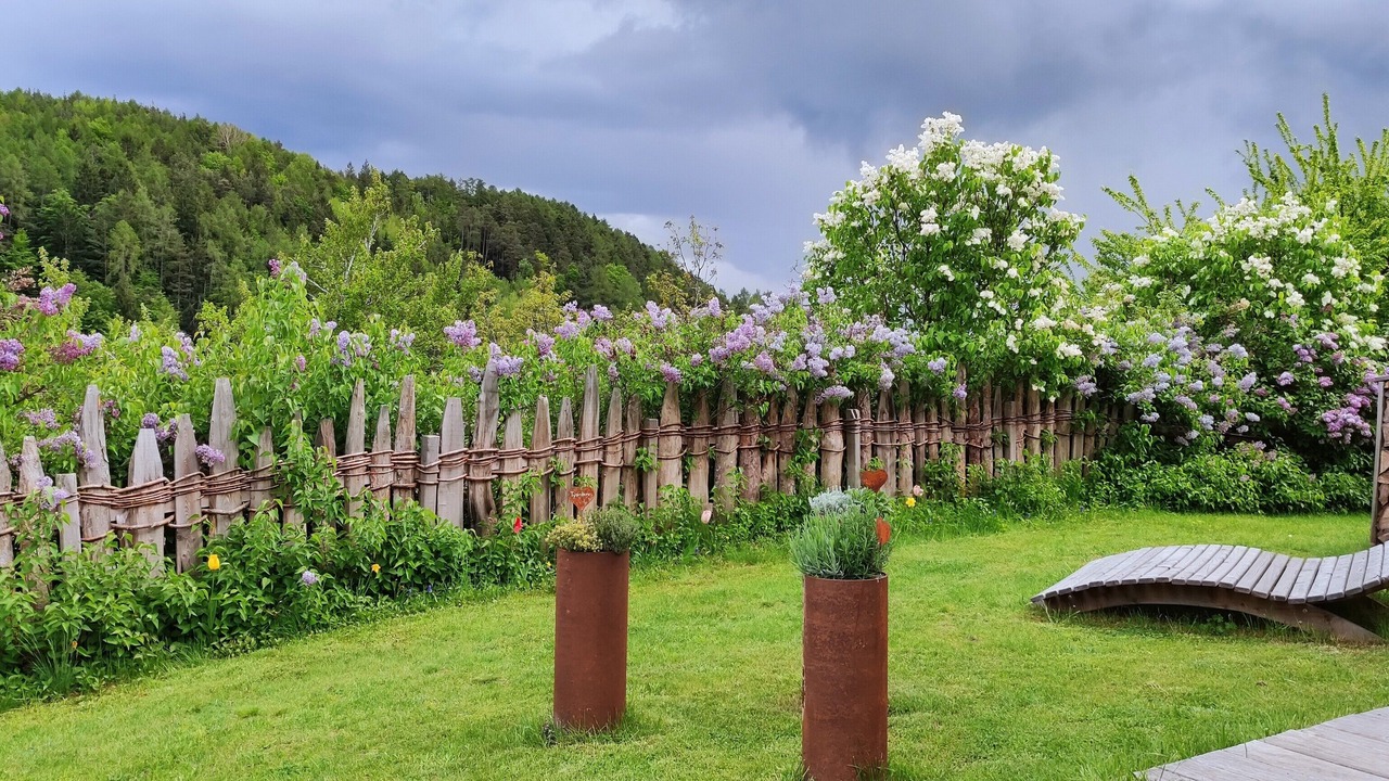 Photo of Outdoor in Collalbo