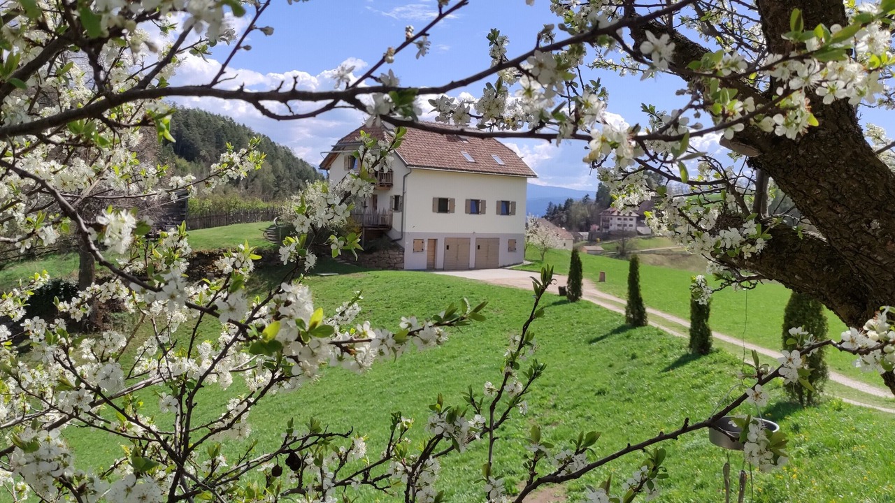 Photo of Outdoor in Collalbo