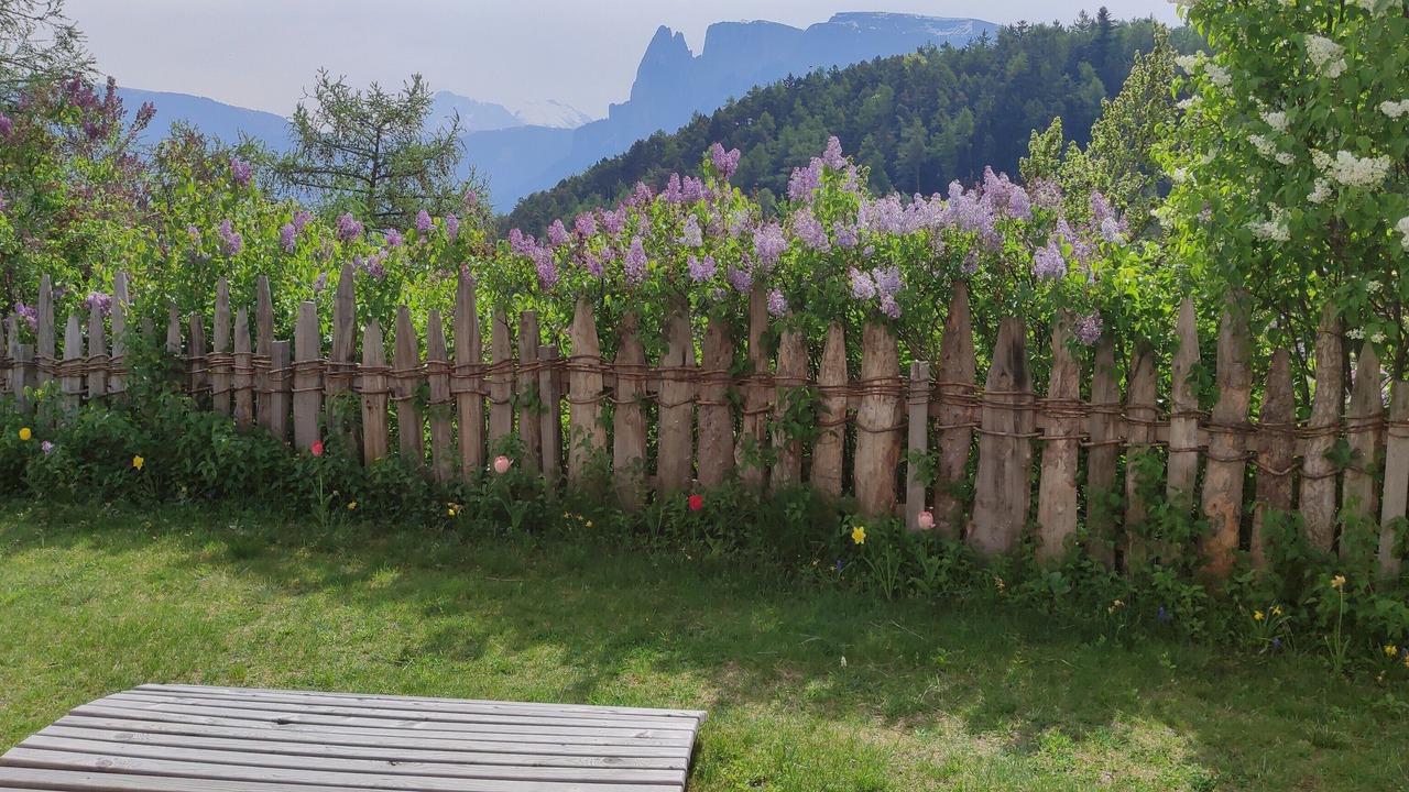 Photo of Outdoor in Collalbo