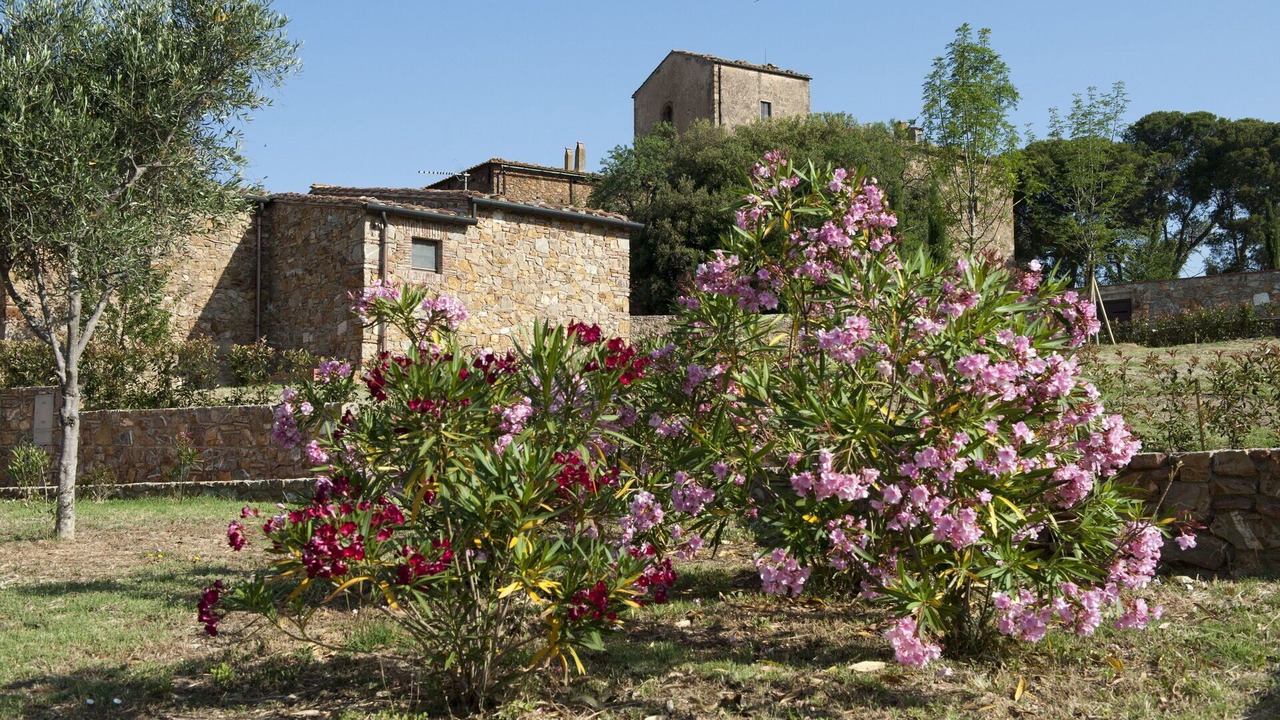 Photo of Others in Casalappi