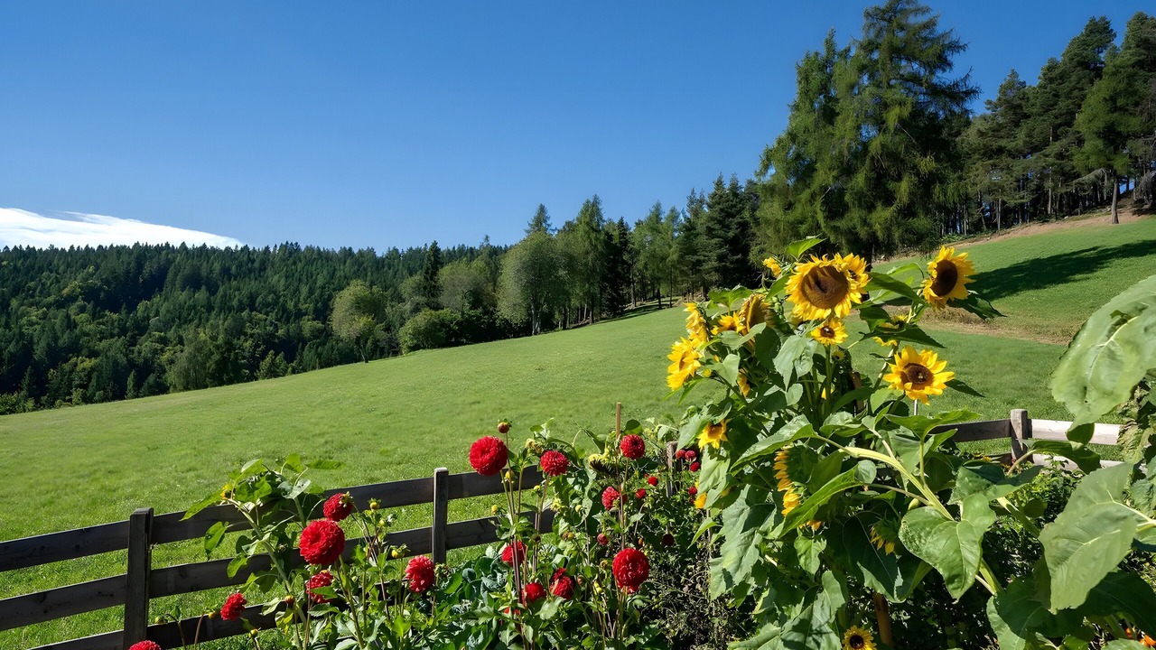 Photo of Outdoor in San Genesio Atesino