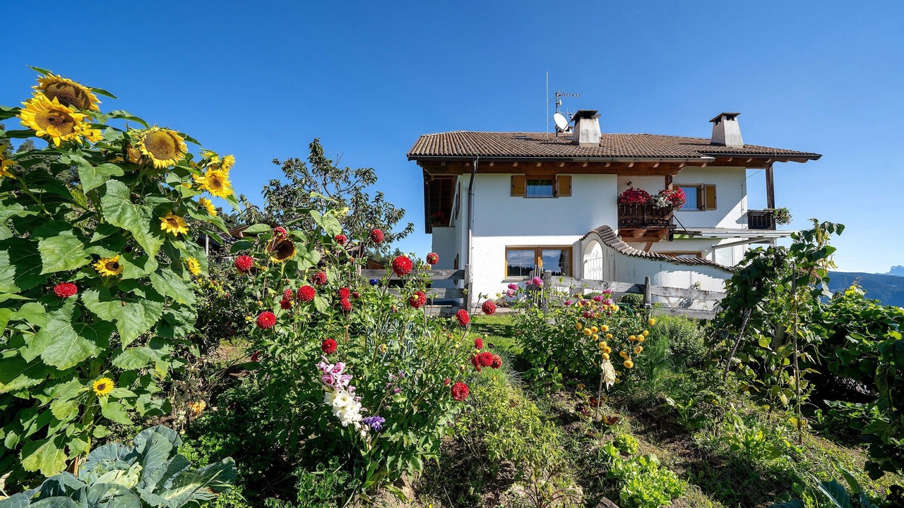 Photo of Outdoor in San Genesio Atesino