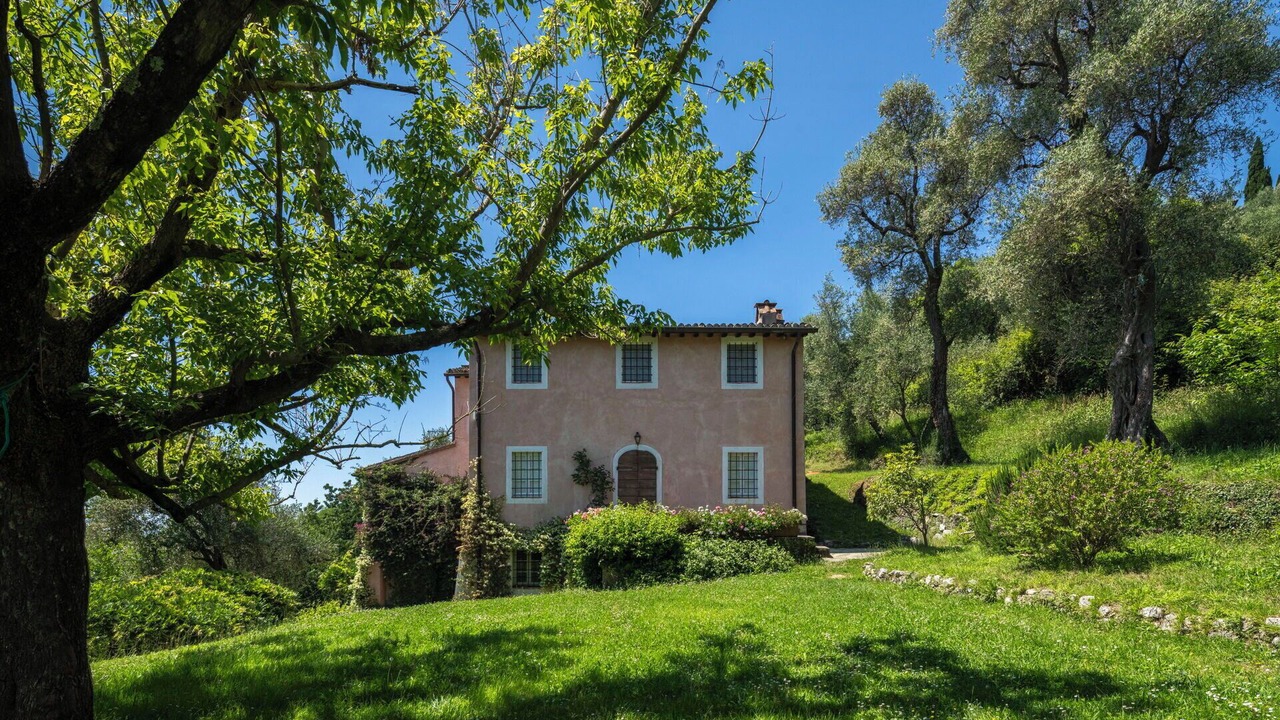 Photo of Outdoor in Camaiore