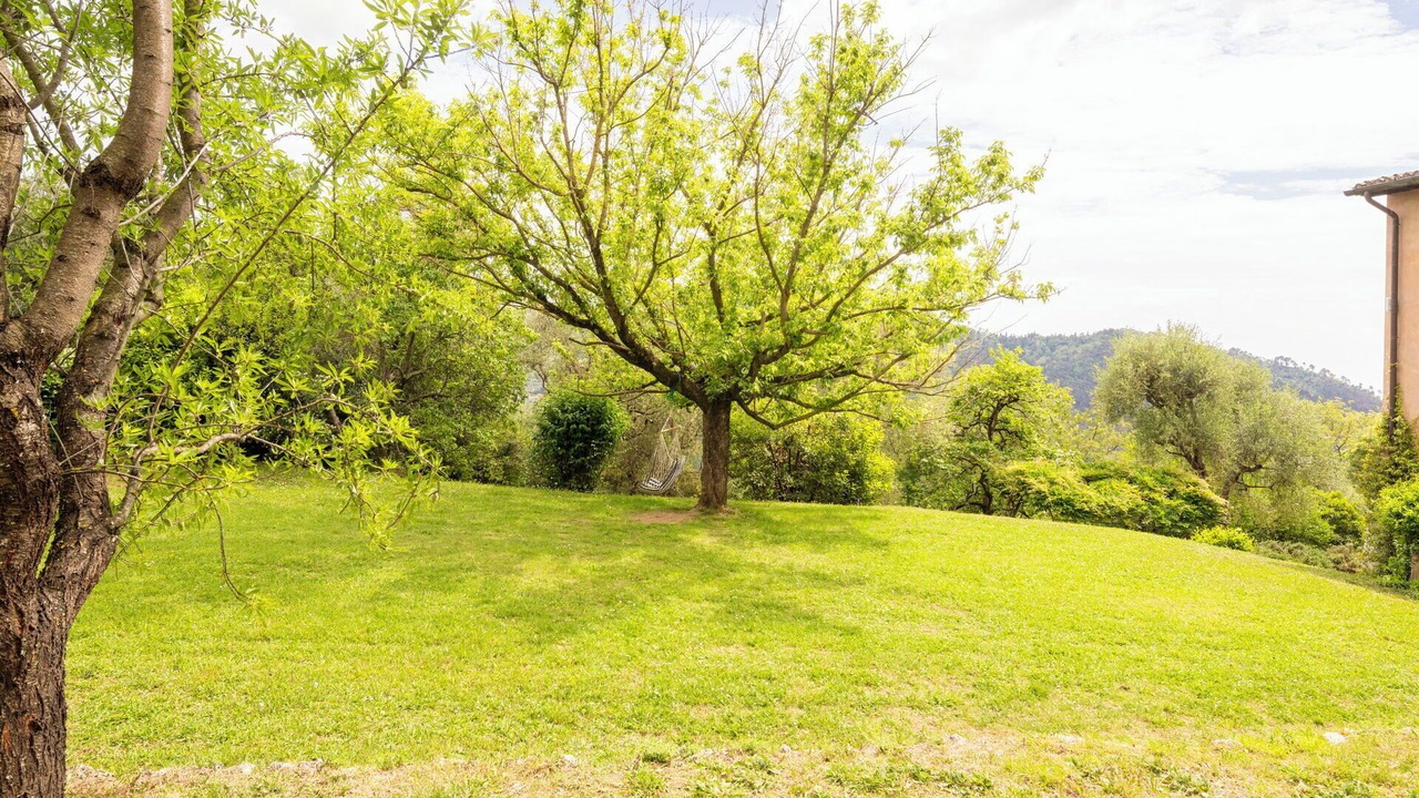 Photo of Outdoor in Camaiore